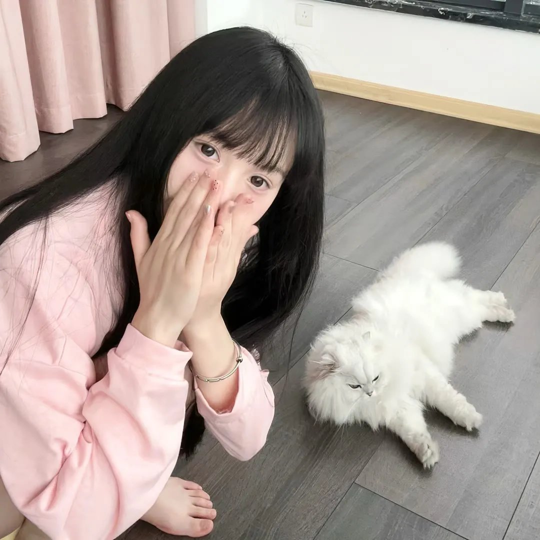 墨城谜案